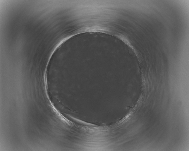 X0000066121032200603311530