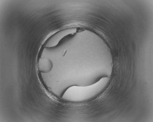 X0000066121034200603311530