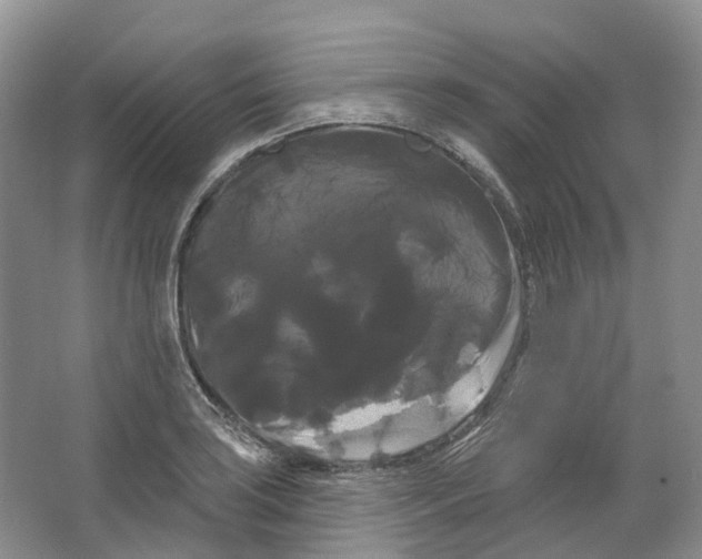 X0000066121035200603311530