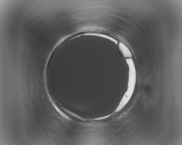 X0000066121037200603311530