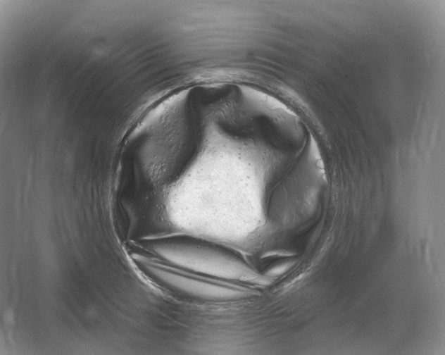 X0000066121041200603311530