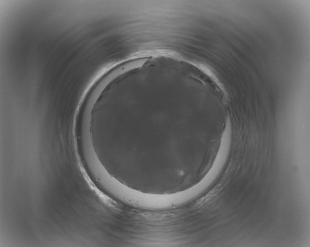 X0000066121046200603311530