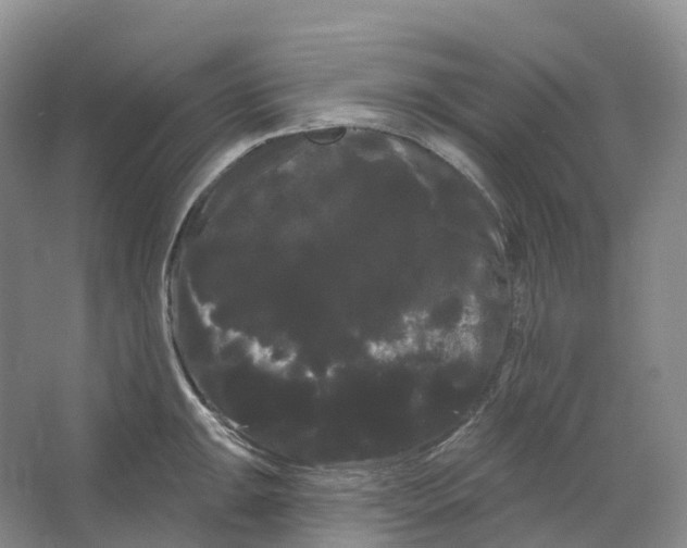 X0000066121047200603311530