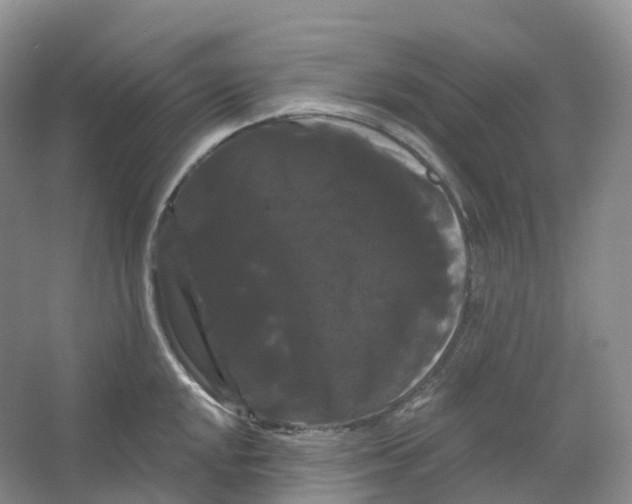 X0000066121048200603311530