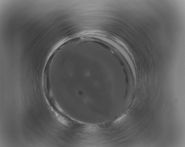 X0000066121050200603311530