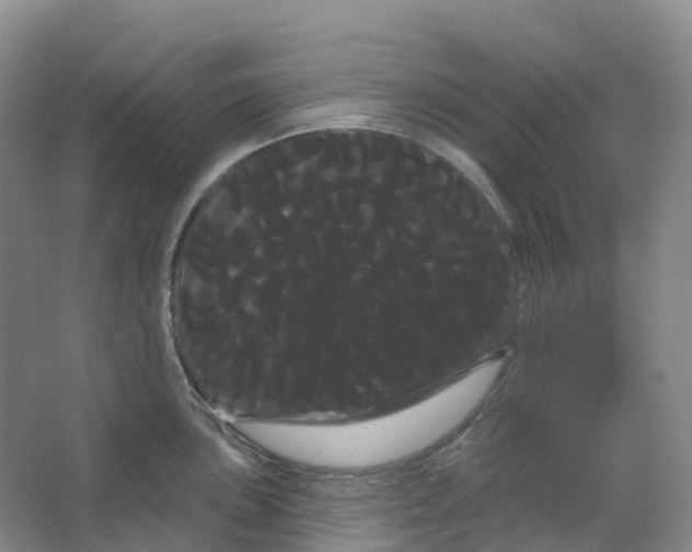 X0000066121051200603311530