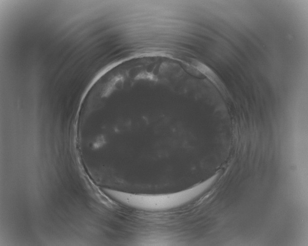 X0000066121052200603311530