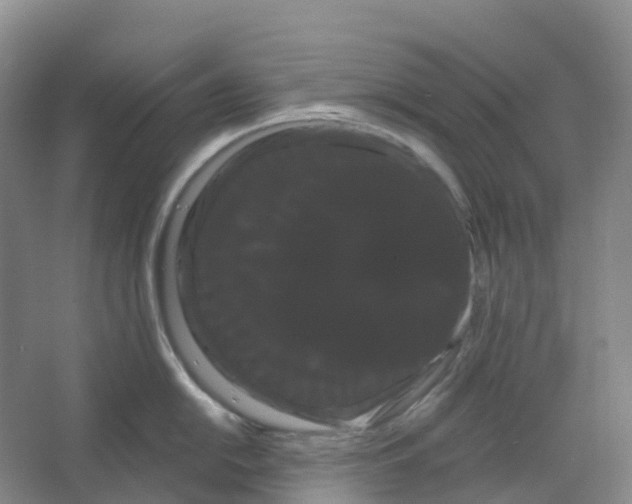 X0000066121054200603311531