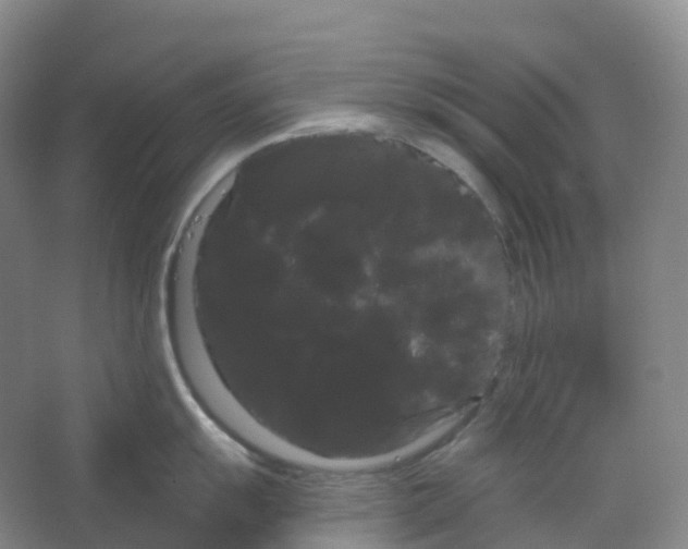 X0000066121055200603311531