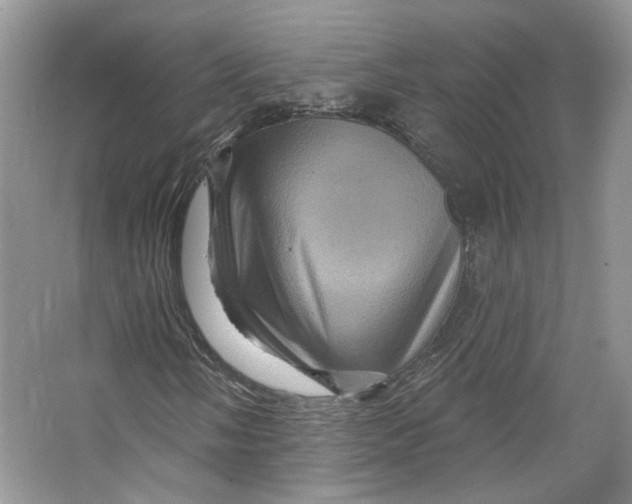 X0000066121058200603311530