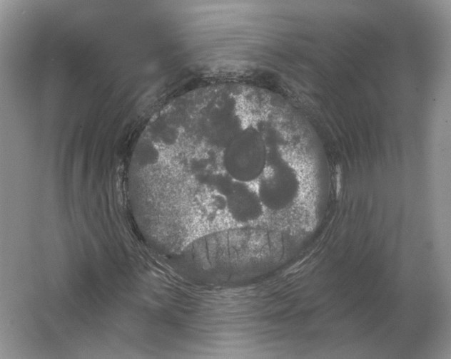 X0000066121059200603311530