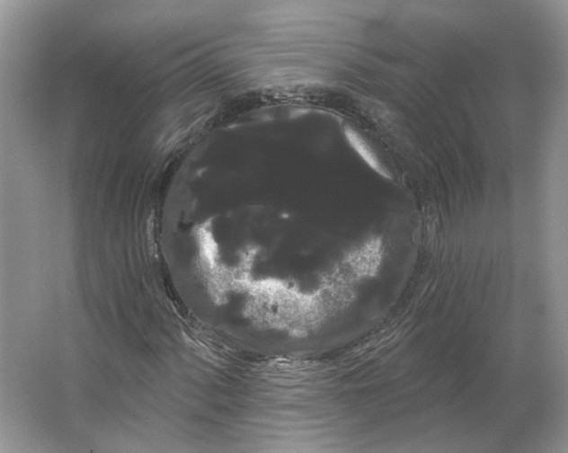 X0000066121060200603311530