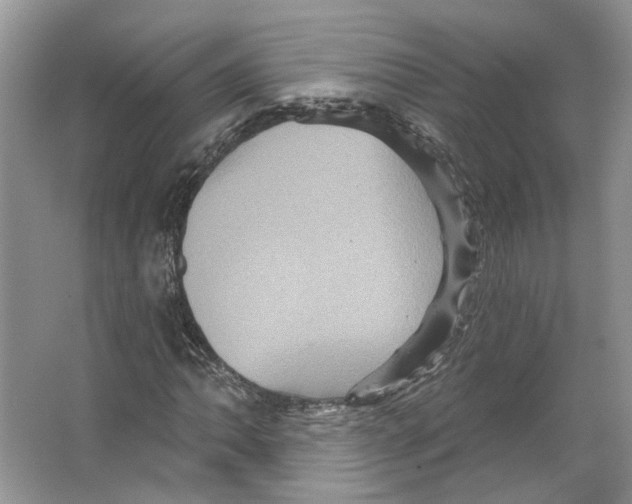 X0000066121062200603311530