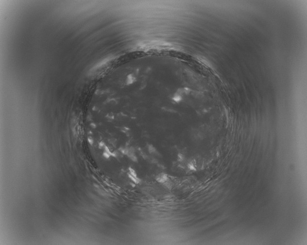 X0000066121063200603311530