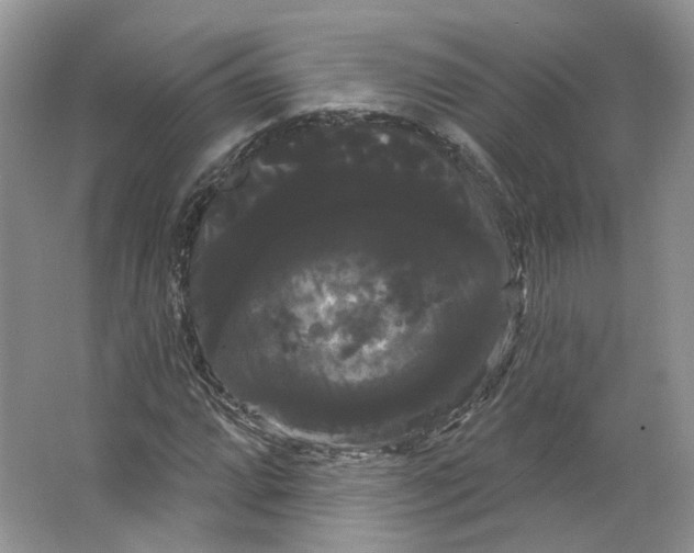 X0000066121064200603311530