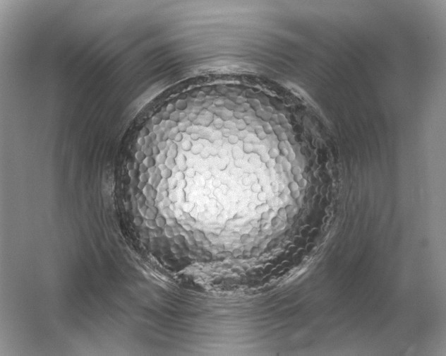 X0000066121065200603311530