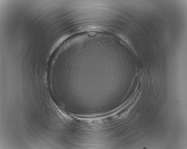 X0000066121066200603311530