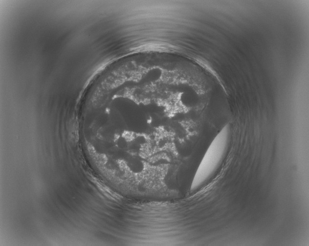 X0000066121067200603311530