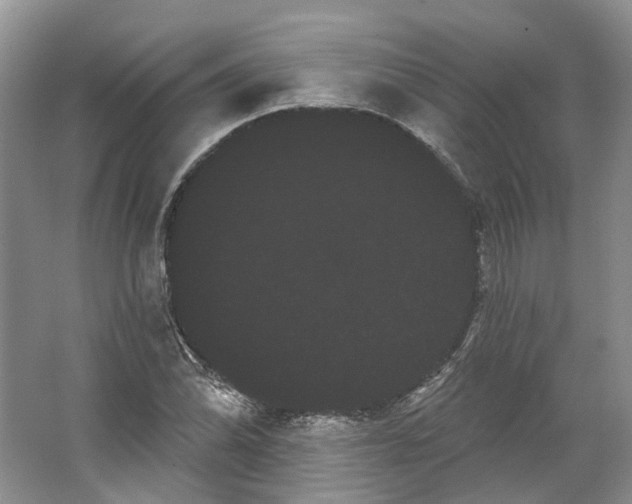 X0000066121070200603311530