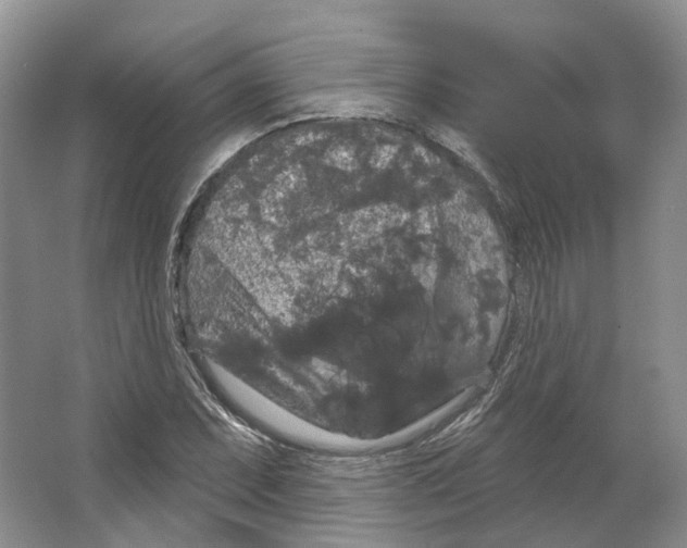 X0000066121071200603311530