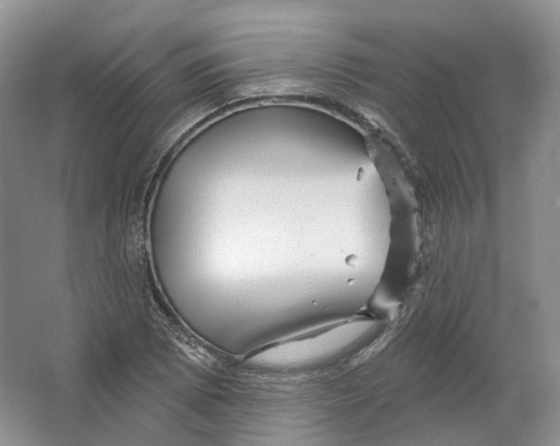 X0000066121073200603311529