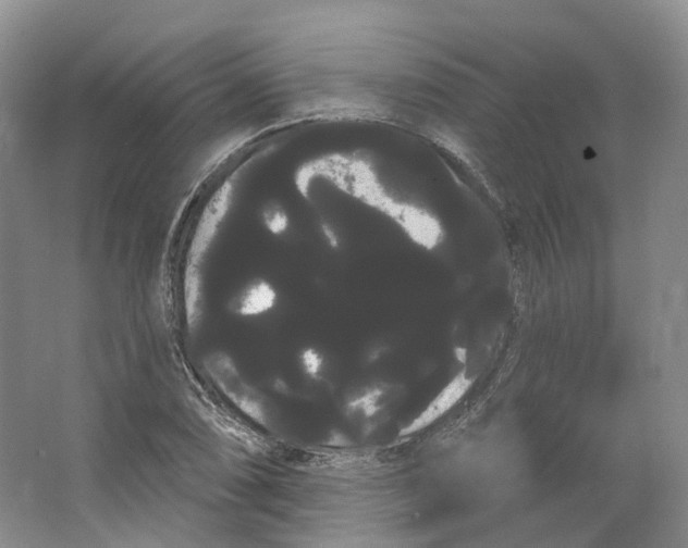 X0000066121074200603311529