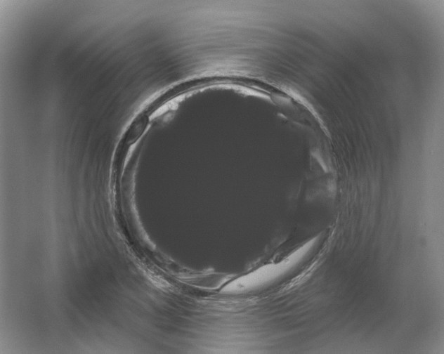 X0000066121077200603311529