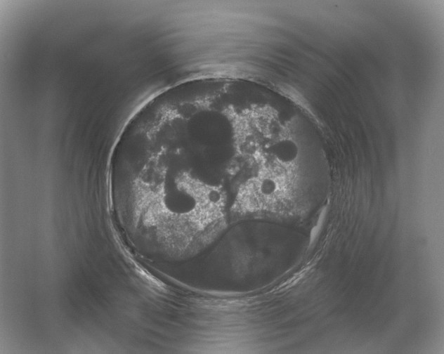 X0000066121079200603311529