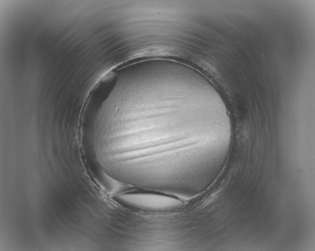 X0000066121081200603311529