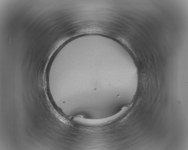 X0000066121082200603311529