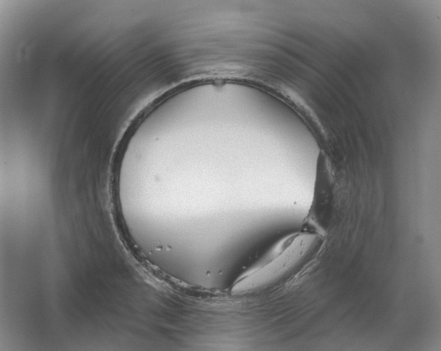 X0000066121085200603311529