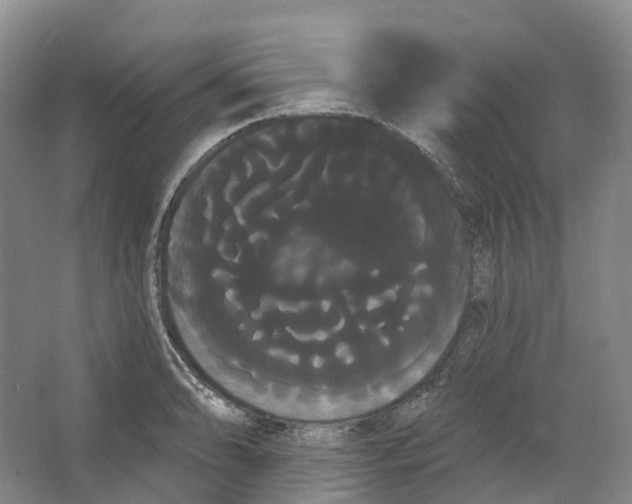 X0000066121086200603311529