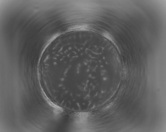 X0000066121090200603311529