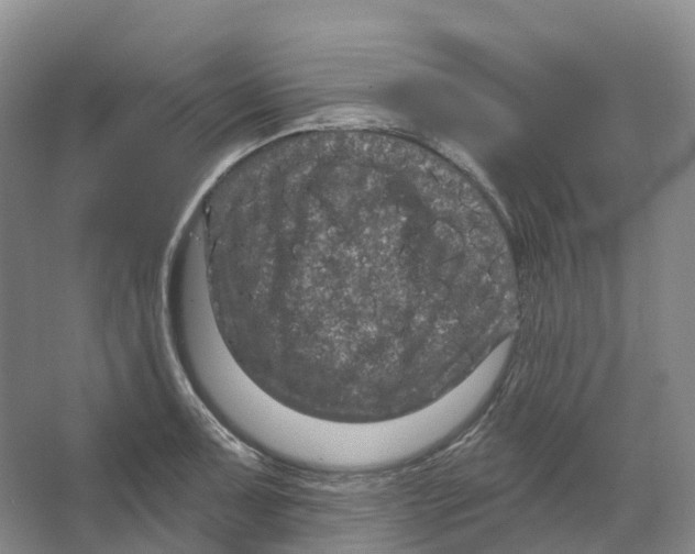 X0000066121091200603311529