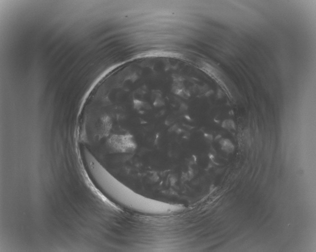 X0000066121092200603311529