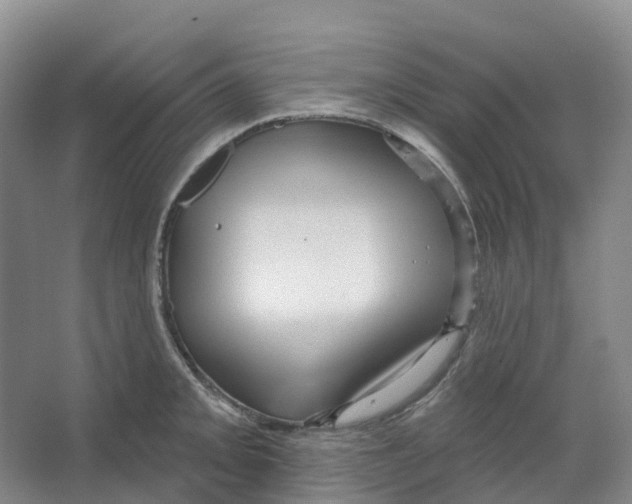 X0000066121093200603311529