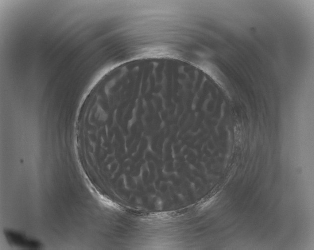 X0000066121094200603311529