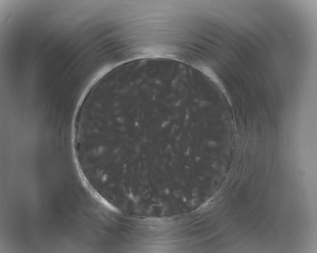 X0000066121096200603311529