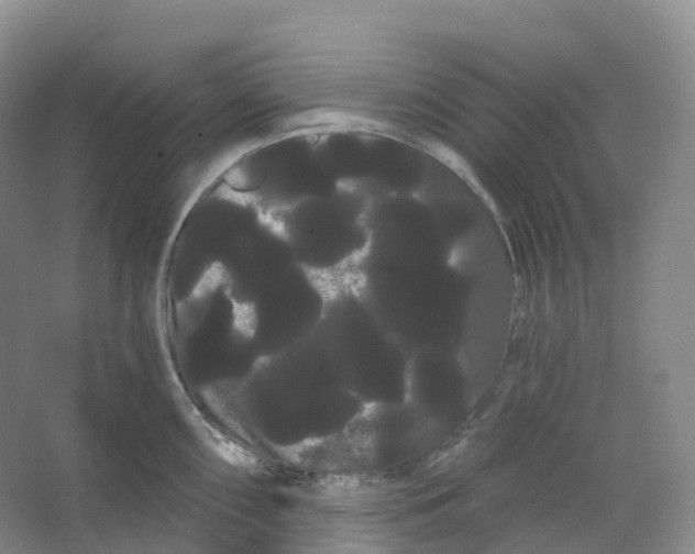 X0000066121098200603311529