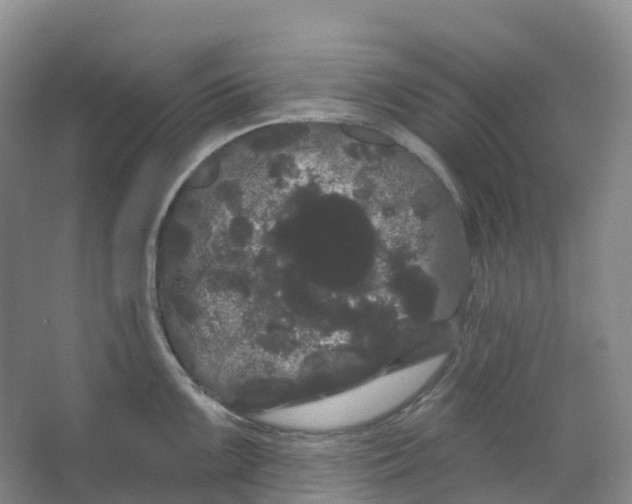 X0000066121099200603311529