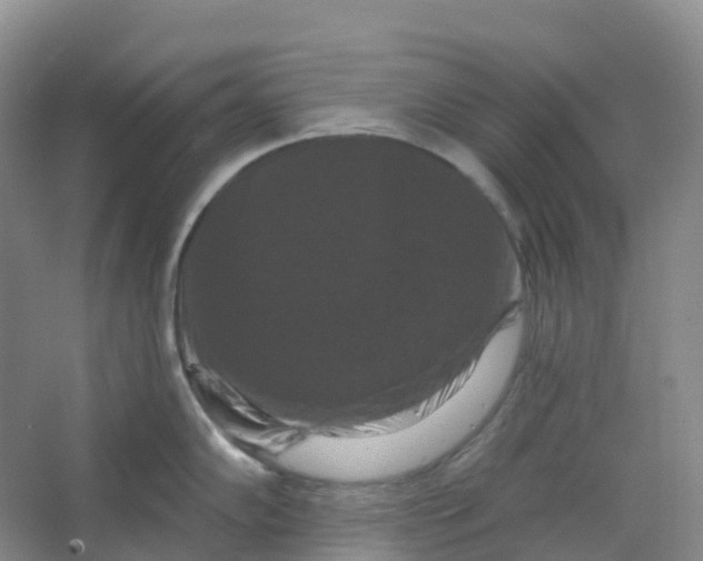 X0000066121102200603311529