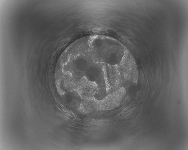 X0000066121105200603311528