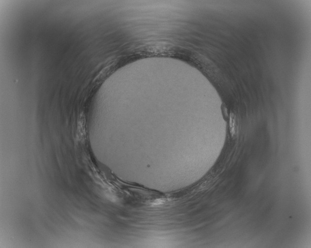 X0000066121107200603311528