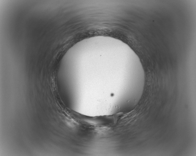 X0000066121109200603311528