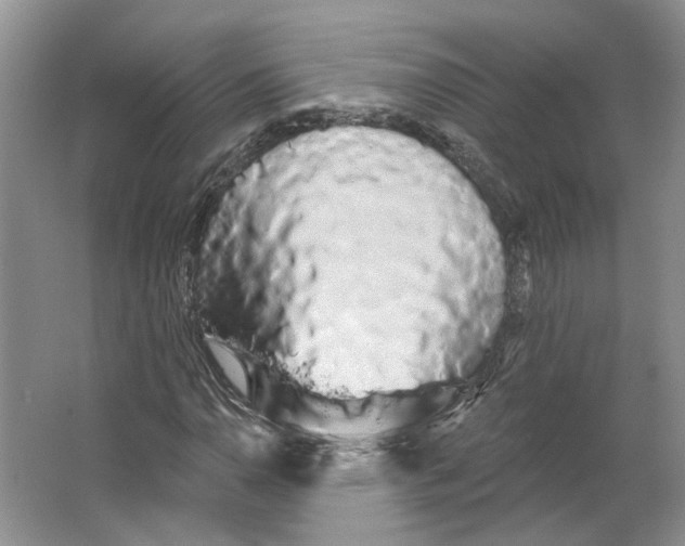 X0000066121110200603311528