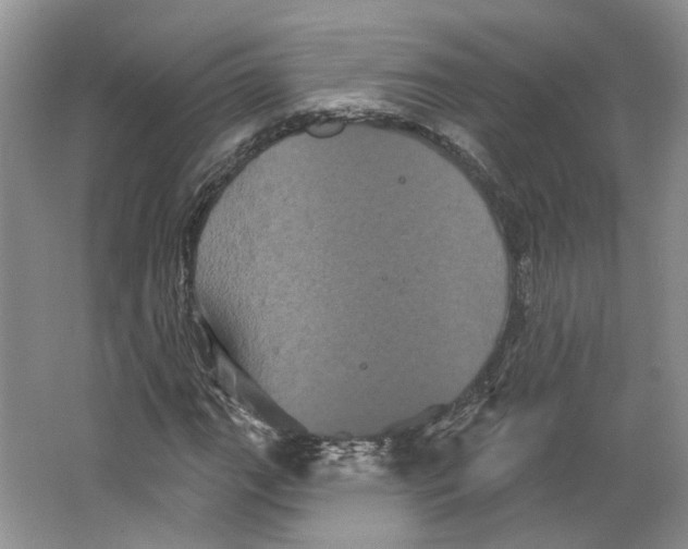 X0000066121111200603311528