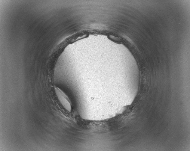 X0000066121112200603311528