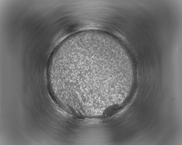 X0000066121113200603311528