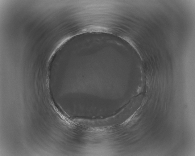 X0000066121115200603311528