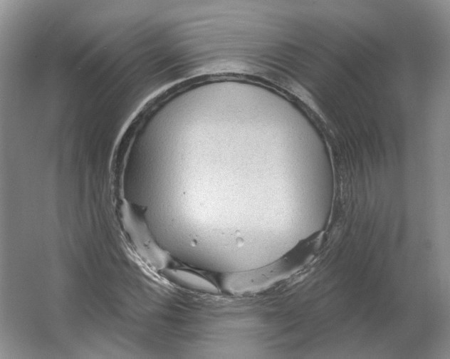 X0000066121116200603311528